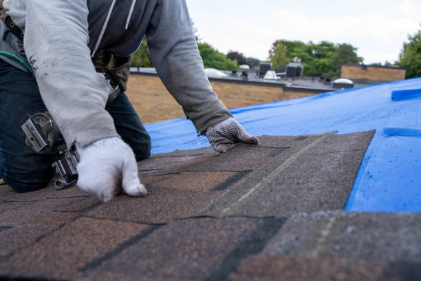 Asphalt Shingles Roofing in Latta, SC